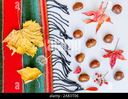 Automne Élégante écharpe en laine de couleur avec la composition, de la châtaigne et des feuilles sèches Banque D'Images
