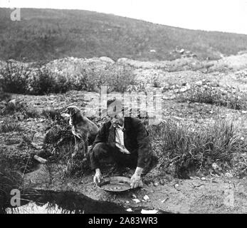 1916 Gold Panning mineur Banque D'Images