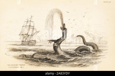 Grand serpent de mer vu au large du Groenland en 1734, Scoliophis atlanticus. À partir d'une description par Hans Egede. Gravure sur acier par W.H. Après une illustration Lizars par James Stewart de Robert Hamilton's Amphibious Carnivora, partie de Sir William Jardine's Naturalist's Library : Mammalia, Édimbourg, 1839. Banque D'Images