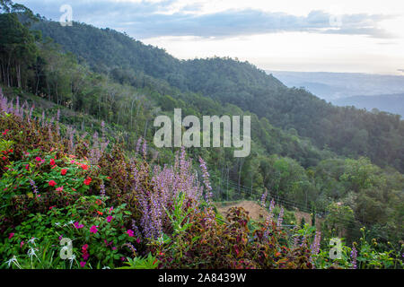 Vue magnifique sur le paysage de montagnes en Kota Kinabalu, Sabah, Malaisie Banque D'Images