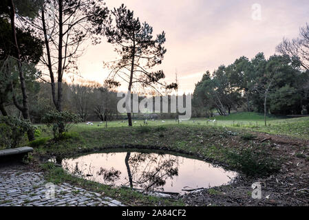 Oporto city park en hiver Banque D'Images