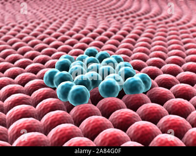 Droit des cellules de cancer, cancer cell en rendu 3D, d'amas de cellules infectées Banque D'Images