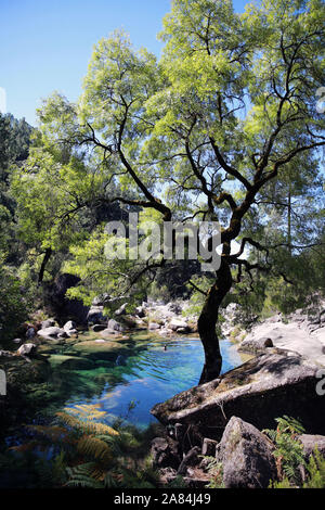 Le parc national de Peneda-Gerês, Porto Portugal Europe Banque D'Images