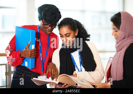 Female college students studying Banque D'Images