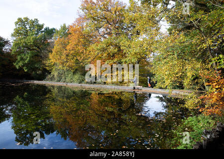 Les étangs Keston,Kent,UK,6 novembre 2019 Automne glorieux,plus de soleil dans les étangs Keston Kent après le brouillard matinal effacée après feu de nuit. Banque D'Images