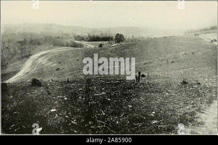 'Raleigh County et la partie ouest de Mercer et Summers counties' (1916) Banque D'Images