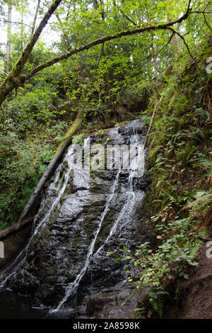 Seattle, Washington - Chutes d'eau dans les bois Banque D'Images