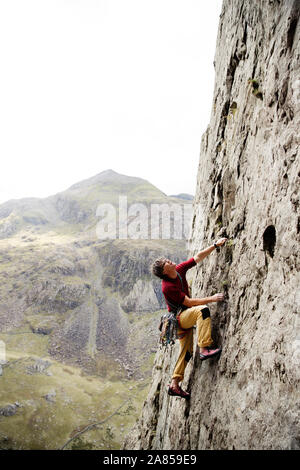 Male rock climber scaling rock face, looking up Banque D'Images