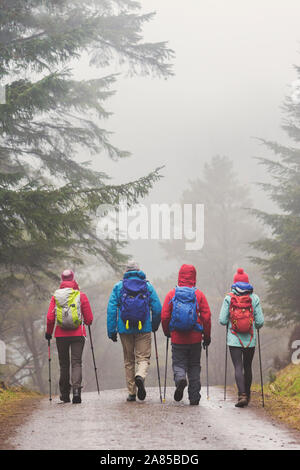 Famille avec sacs à dos randonnée sur sentier dans rainy woods Banque D'Images