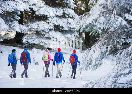 Randonnée familiale sur le sentier en remote, Snowy Woods Banque D'Images