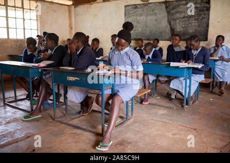 NAIROBI, KENYA, 10 septembre 2014 : étude des filles non identifiés dans une classe simple près de Nairobi, Kenya. Banque D'Images
