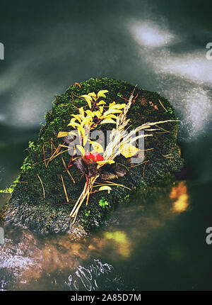 Toujours dans l'eau de fleurs d'automne. Les tiges et les feuilles sur l'épave en pierre de basalte dans blurred rapides de ruisseau de montagne. Des bulles dans l'eau sombre Shinning Banque D'Images