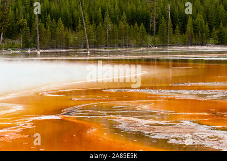 Détail de Grand Prismatic Spring dans le Parc National de Yellowstone, WY Banque D'Images