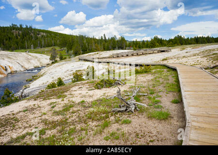 Promenade à Geyser Hill Group dans le Parc National de Yellowstone Banque D'Images