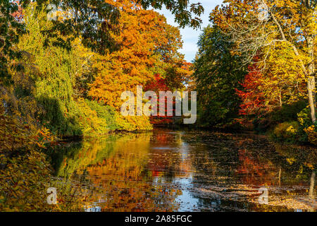 Feuillage automne coloré arbres entourant l'étang. Banque D'Images
