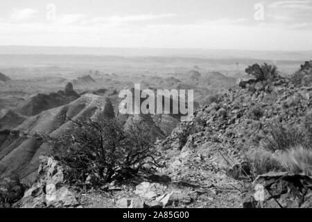 Wanderung im Nationalpark Big Bend, Texas, USA, 1950 er. Randonnée à travers le parc national Big Bend, Texas, USA, 1950. Banque D'Images