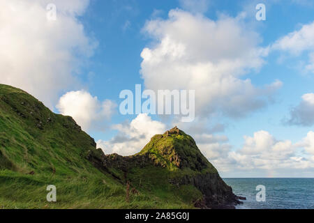 Giant's Causeway vue de l'après-midi, Nord de l'Irlande, Royaume-Uni Banque D'Images