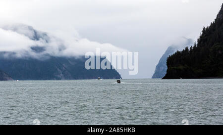 Un paysage de Kenai Fjords National Park en Alaska dans la péninsule de Kenai. Banque D'Images