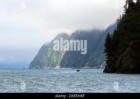 Un paysage de Kenai Fjords National Park en Alaska dans la péninsule de Kenai. Banque D'Images