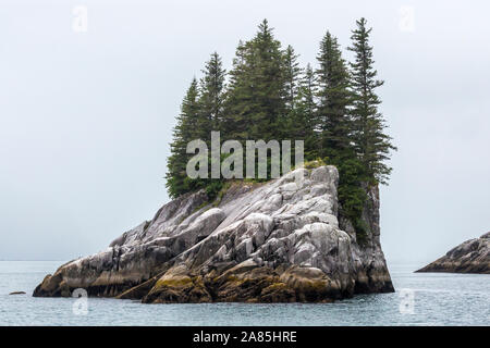 Un paysage de Kenai Fjords National Park en Alaska dans la péninsule de Kenai. Banque D'Images