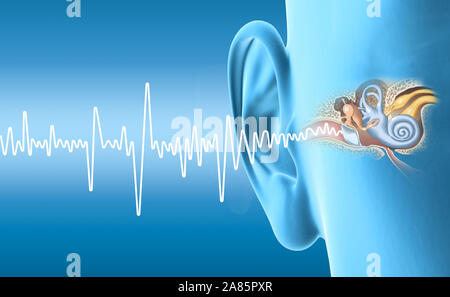 Illustration 3D'oreille humaine avec l'oreille moyenne, otite, du canal auditif, membrane tympanique, nerf auditif et cochlée , bleu Banque D'Images