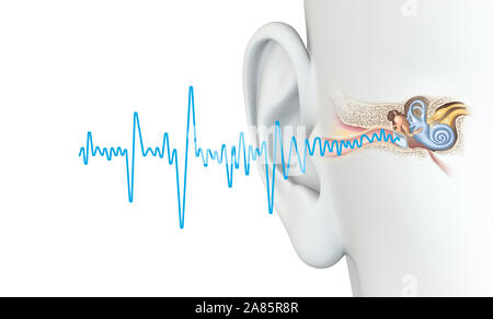 3D illustration montrant blue soundwave et anatomiques illustration de l'oreille Banque D'Images