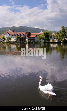 Ilsenburg, Harz, Sachsen-Anhalt, Allemagne, Europa Banque D'Images