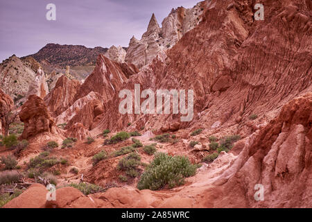 Candyland rock formations sur Cottonwood Canyon Road, autour de l'Cockscombe, Utah, USA Banque D'Images