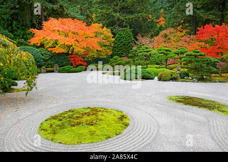 Les érables et autres arbres feuillus exotiques jaune et rouge dans le célèbre jardin japonais de Portland, Oregon, en automne. Banque D'Images