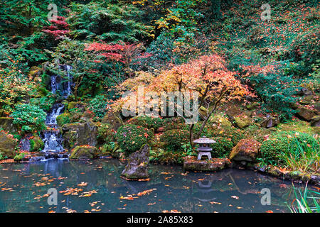 Les érables et autres arbres feuillus exotiques jaune et rouge dans le célèbre jardin japonais de Portland, Oregon, en automne. Banque D'Images
