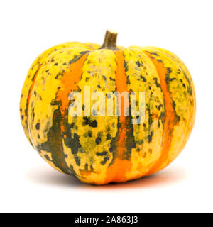 Orange et vert foncé ornementales pumpkin isolated on white Banque D'Images