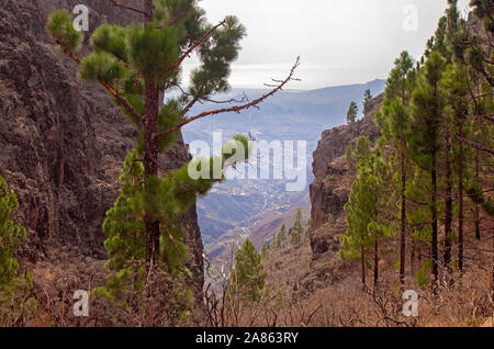 Gran Canaria, octobre, vue aérienne vers Caldera de Tirajana, compliqué à vélo par l'intermédiaire de Canadon del Jierro ravin, l'une des trans classique Banque D'Images