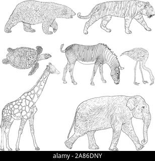 Croquis d'ours l'éléphant tigre zèbre tortue girafe flamants sur un fond blanc. Illustration de Vecteur