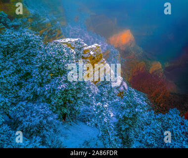 Neige et brouillard sur la rive sud, le Parc National du Grand Canyon, Arizona, Colorado River, Mather Point Banque D'Images