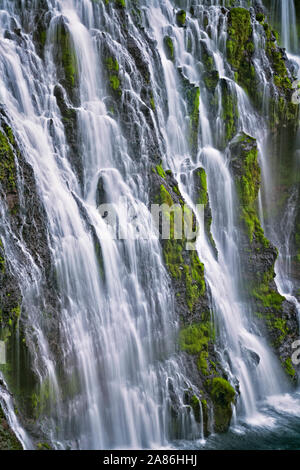 Burney Falls cascades 129 pieds au-dessus de basalte couverte de mousse à northern California's McArthur-Burney Falls Memorial State Park dans le mont Cascade Ran Banque D'Images