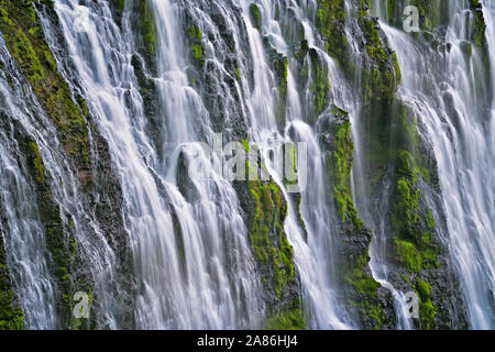 Burney Falls cascades 129 pieds au-dessus de basalte couverte de mousse à northern California's McArthur-Burney Falls Memorial State Park dans le mont Cascade Ran Banque D'Images