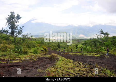 Chemin de randonnée à travers les arbres verts sur volcan actif Pacaya près de Antigua au Guatemala, en Amérique centrale. Banque D'Images