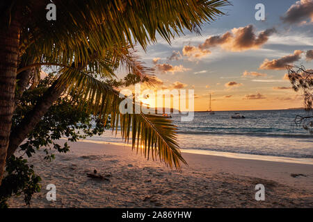 Coucher du soleil sur la plage de Kouto, île des Pins, Nouvelle Calédonie Banque D'Images