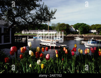 Perkins Cove au printemps - Ogunquit, Maine Banque D'Images