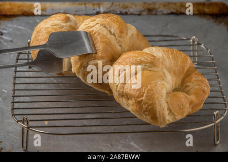 A la photo en gros de produits frais délicieux croissants sur une grille de refroidissement. Banque D'Images