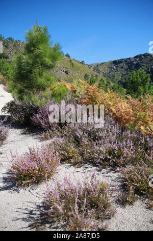 Le parc national de Peneda-Gerês, Porto Portugal Europe Banque D'Images