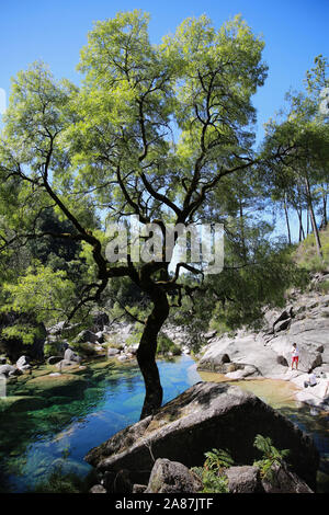 Le parc national de Peneda-Gerês, Porto Portugal Europe Banque D'Images