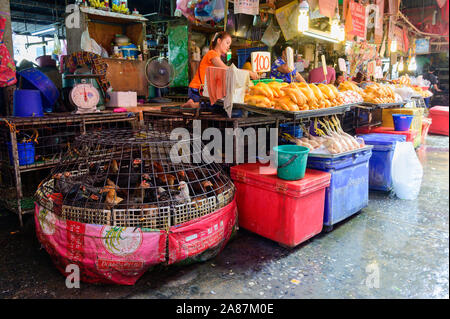 Poulets dans la cage en vente au marché de Khlong Toei Banque D'Images