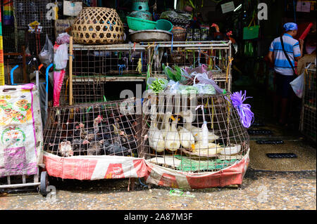 Vivent les canards et poulets en vente au marché de Khlong Toei Banque D'Images