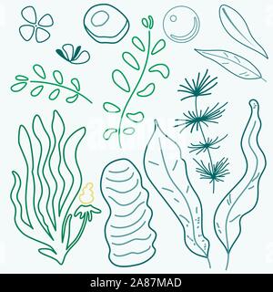 Algues vecteur silhouette contour ensemble isolé. La plantation des plantes, de l'océan Illustration de Vecteur