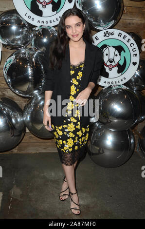 Los Angees, ca. Nov 6, 2019. L'amour à Lilimar Leo Rescue 2e Congrès annuel des cocktails pour une cause, le matériel roulant verts, Los Angeles, Californie le 6 novembre 2019. Crédit : David Edwards/media/Alamy Punch Live News Banque D'Images