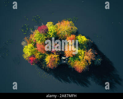 Les arbres d'automne lumineux et colorés sur une petite île au milieu d'un lac dans un parc (Beatrixpark) à Almere, Pays-Bas. Vue aérienne du haut vers le bas. Banque D'Images