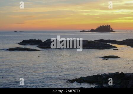 Tofino, Kanada. 05 Sep, 2014. 05.09.2014, Canada, Tofino, côte de Tofino, Vancouver Island, coucher de soleil, les roches, les arbres, la mer, le Pacifique Nord, vue de l'île de Tonquin, photo : Snowfield, Photographie | Conditions de crédit dans le monde entier : dpa/Alamy Live News Banque D'Images