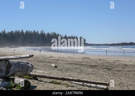 Tofino, Kanada. 05 Sep, 2014. 05.09.2014, Canada, Tofino, côte de Tofino, Vancouver Island, du bois flotté sur la plage, Chesterman Beach, photo : Snowfield, Photographie | Conditions de crédit dans le monde entier : dpa/Alamy Live News Banque D'Images