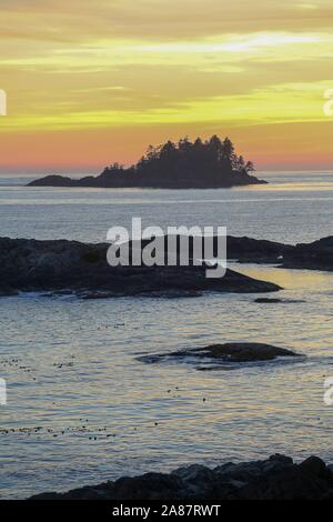Tofino, Kanada. 05 Sep, 2014. 05.09.2014, Canada, Tofino, côte de Tofino, Vancouver Island, coucher de soleil, les roches, les arbres, la mer, le Pacifique Nord, Crédit : Snowfield, Photographie | dans le monde d'utilisation/dpa/Alamy Live News Banque D'Images
